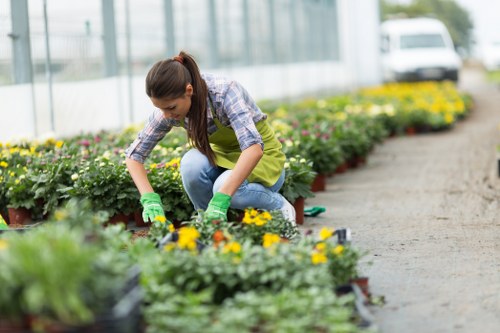 A woman working in a commercial greenhouse or nursery with transparent glass walls, tending to a row of vibrant flowering plants in small pots. She is dressed in a plaid shirt, jeans, and green gloves, kneeling on the gravel pathway among the plants. The greenhouse interior is filled with natural light, highlighting the bright yellow, pink, and purple flowers, along with lush green foliage. Shelving and additional plants can be seen in the background, creating an organized plant production environment typical of professional gardening and landscaping services in Kensington. This setting illustrates expert plant care within a controlled environment aimed at quality garden and outdoor space maintenance and enhancement, emphasizing professional horticultural practices aligned with landscaping services.