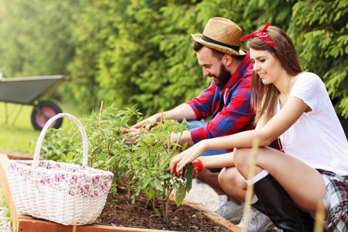 Eco-friendly sustainable landscaping practices in Kensington