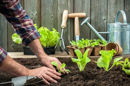 Professional garden clearance team at work in Kensington