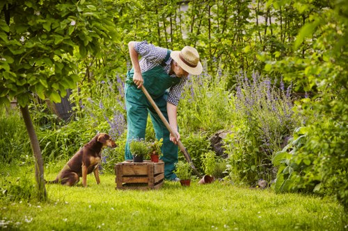 A person wearing a straw hat, patterned shirt, and teal overalls is gardening in a lush, green outdoor space featuring a well-maintained lawn, dense shrubbery, and flowering plants. They are using a small gardening tool to tend to a flower bed enclosed by wooden planters, with rich soil and vibrant plants visible. To the left, a brown dog sits attentively on the grass, watching the gardener. The garden is bordered by a variety of trees and tall plants, creating a natural, enclosed environment typical of a residential back garden. The scene is captured during daylight under soft natural light, highlighting the different shades of green, purple, and earthy tones of the garden elements, and emphasizing a peaceful outdoor setting that could benefit from professional landscaping and lawn care services provided by Landscapers Kensington, based near Kensington in London.
