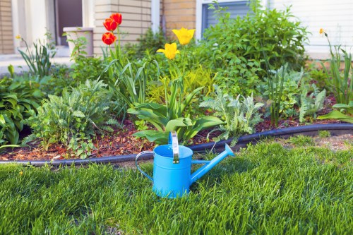 Selection of native plants suitable for Kensington landscaping
