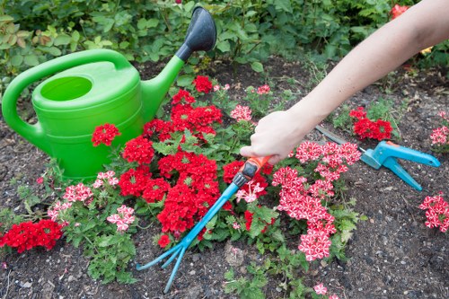 Proper mowing techniques for a healthy lawn