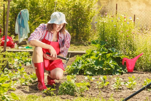 A woman wearing a white sun hat, red rubber boots, and a red apron is kneeling in a garden bed, using a small hand tool to tend to young vegetable plants. The garden features neat, evenly spaced rows of leafy greens and other vegetables with rich, dark soil. In the background, there are flowering plants with purple and yellow blooms, a pink watering can, and a garden hose visible on the ground. To the left, a clothesline with a colorful towel hanging is partially visible, set against a backdrop of lush green trees and bushes. The scene is illuminated by bright sunlight, suggesting a clear, warm day, with the overall setting indicating a well-maintained outdoor space suitable for gardening services in the Kensington area.