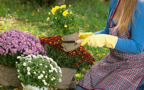 Green waste sorting for sustainable landscaping in Kensington