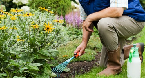 Professional landscaping service enhancing curb appeal in Kensington property