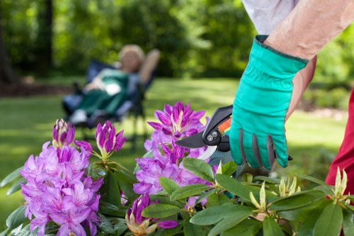 Professional landscapers working on a residential garden