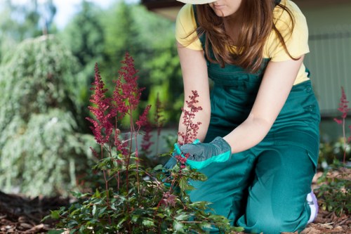 Kensington garden soil preparation and planting