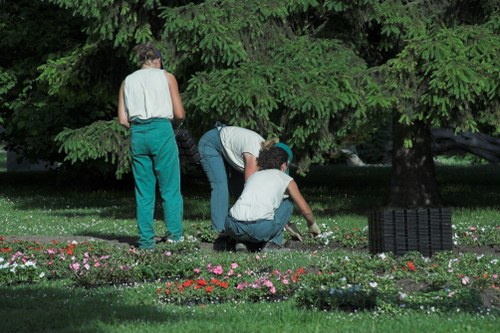 In a backyard garden, three individuals are engaged in gardening activities beneath a large, dense tree with lush green foliage. Two of them are crouching near the flower beds, tending to small flowering plants with pink and red blossoms, while the third person stands nearby observing. The garden features a neatly maintained lawn with vibrant green grass, bordered by flower beds that are filled with flowering plants and small shrubs. To the right, there is a black plastic garden container or rake lying on the ground, and in the background, the thick tree canopy provides shade and natural coverage. The overall scene depicts a well-kept outdoor space suitable for gardening and lawn care, with natural lighting indicating daytime, and the environment implying regular maintenance by residential landscapers in Kensington or the surrounding area.