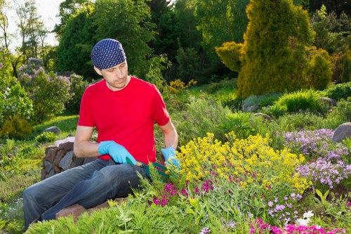 A man wearing a blue knitted cap, red t-shirt, and blue gardening gloves is seated in a lush, well-maintained garden in Kensington, surrounded by a variety of flowering plants, shrubs, and small bushes. The garden features a neatly arranged bed with vibrant pink, purple, and yellow flowers, bordered by green foliage and low-growing plants with natural textures. In the background, tall trees with rich green leaves and trimmed hedges create a mature landscape setting, with sunlight filtering through the tree canopy, suggesting a bright, clear day. The ground consists of a mixture of soil and paving, with some exposed garden beds and pathways that define different sections of the outdoor space. The scene conveys a peaceful, professionally maintained residential garden environment, ideal for outdoor leisure and garden care, as reflected by the attention to plant organization and diverse garden elements, aligning with services offered by Landscapers Kensington in the local area.