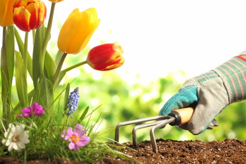 A close-up of a gardener's hand wearing a gardening glove, using a small hand rake to tend to dark, rich soil in a garden bed. The garden features vibrant flowers, including yellow and red tulips, along with pink, white, and purple blossoms, set against lush green foliage. In the background, there is an outdoor environment with natural sunlight filtering through, indicating a bright, pleasant day. The scene reflects careful gardening activities typical of a residential garden in Kensington, with distinct textures of soil, blooming flowers, and well-maintained plant borders, supporting professional gardening and sustainable landscaping practices by Landscapers Kensington.
