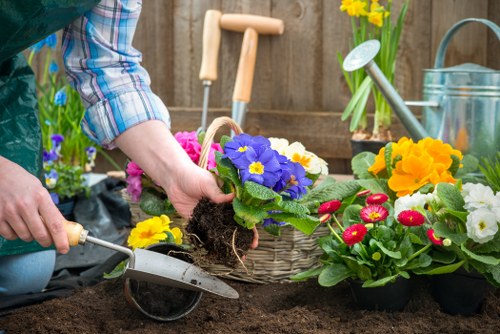 A gardener wearing a checked shirt is planting a purple-flowered primula into dark, cultivated soil in a garden area. The garden features various potted plants and flowers, including bright yellow primulas and red and white flowers, arranged on a wooden surface next to a watering can and garden tools. In the background, there is a wooden fence, with yellow daffodils in a pot visible, indicating early spring growth. The scene is outdoors in a well-maintained landscaped garden typical of Kensington, with natural daylight illuminating the scene, emphasizing healthy soil, vibrant plant colors, and neatly arranged garden elements. Landscapers Kensington specializes in garden planting and maintenance, supporting garden design and floral planting services in the local area.