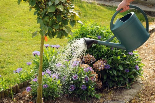 A person watering flowering plants in a well-maintained garden, with a focus on a watering can pouring water onto purple and brown-flowered shrubs and a small green tree supported by a wooden stake. The garden features a neat edged flower bed with a mix of vibrant purple flowers and darker foliage plants, bordered by wooden edging. Behind the flower bed, there is a lush green lawn and other garden plants, indicating a tidy outdoor space likely situated within a residential area in Kensington. The natural lighting suggests a partly sunny day, highlighting the healthy, verdant appearance of the garden. This scene reflects professional gardening and landscaping practices, emphasizing plant care, tidy landscape design, and outdoor maintenance typical of gardening services in the Kensington area.