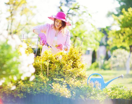 A woman in a pink sun hat and gardening gloves is tending to a garden bed filled with yellow flowering plants, with a lush green lawn and trees in the background. The garden features a combination of vibrant flower borders, neatly trimmed hedges, and a paved patio area, illustrating a well-maintained outdoor space typical of a residential garden in Kensington. She appears to be using small hand tools for gardening, indicating active garden care. The environment is bright and sunny, with natural light highlighting the lush foliage and colourful blooms, reflecting a typical spring or summer day. The scene suggests professional gardening services by Landscapers Kensington, involving outdoor maintenance and garden enhancement for properties in the Kensington area, including activities like planting, trimming, and lawn care as part of comprehensive landscaping solutions.