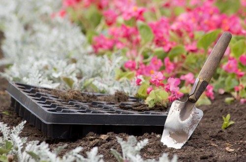 A close-up view of a garden bed in a landscaped outdoor space in Kensington, featuring dark, rich soil with freshly planted seedlings and vibrant pink flowering plants in the background. The bed is bordered by a wooden edge, with a black seed tray holding small seedlings positioned on the soil, alongside a small garden trowel with a wooden handle partially embedded in the soil. The scene is set under natural daylight, with soft shadows indicating a clear weather condition, indicative of typical gardening activities managed by Landscapers Kensington. The arrangement highlights the preparation for planting in a well-maintained green backyard, emphasizing the importance of soil cultivation, planting techniques, and flower bed design as part of professional gardening services.