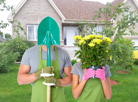 Seasonal maintenance of a landscaped garden in Kensington