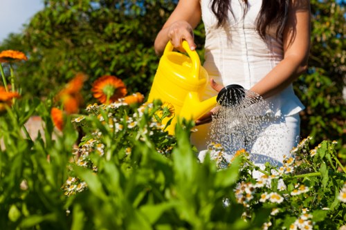 In a well-maintained garden, a person dressed in a white top is watering plants with a yellow watering can. The garden features a variety of flowering plants, including orange daisies and white daisies with yellow centers, growing in beds bordered by lush green foliage. The soil in the flower beds appears dark and rich, indicating healthy cultivation. In the background, there are dense green bushes and trees under bright sunlight, suggesting a sunny day with clear weather. The garden is part of a landscaped outdoor space typical of residential gardens in Kensington, with a mix of flowering plants and shrubbery arranged in a natural, visually appealing layout. The scene illustrates outdoor gardening activities, supported by professional gardening and landscaping services, with attention to plant care and garden aesthetics in an urban residential setting near Kensington, London.