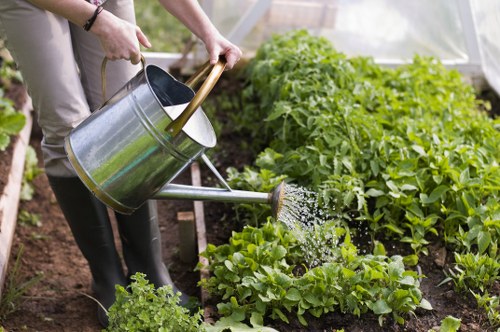 Eco-friendly irrigation system installation in a garden