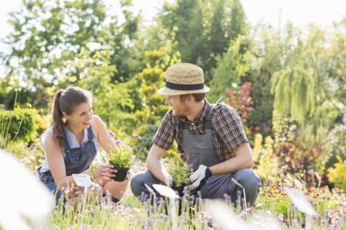Eco-friendly tree maintenance practices