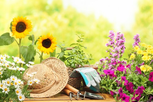 Maintenance work by a Kensington landscaping expert